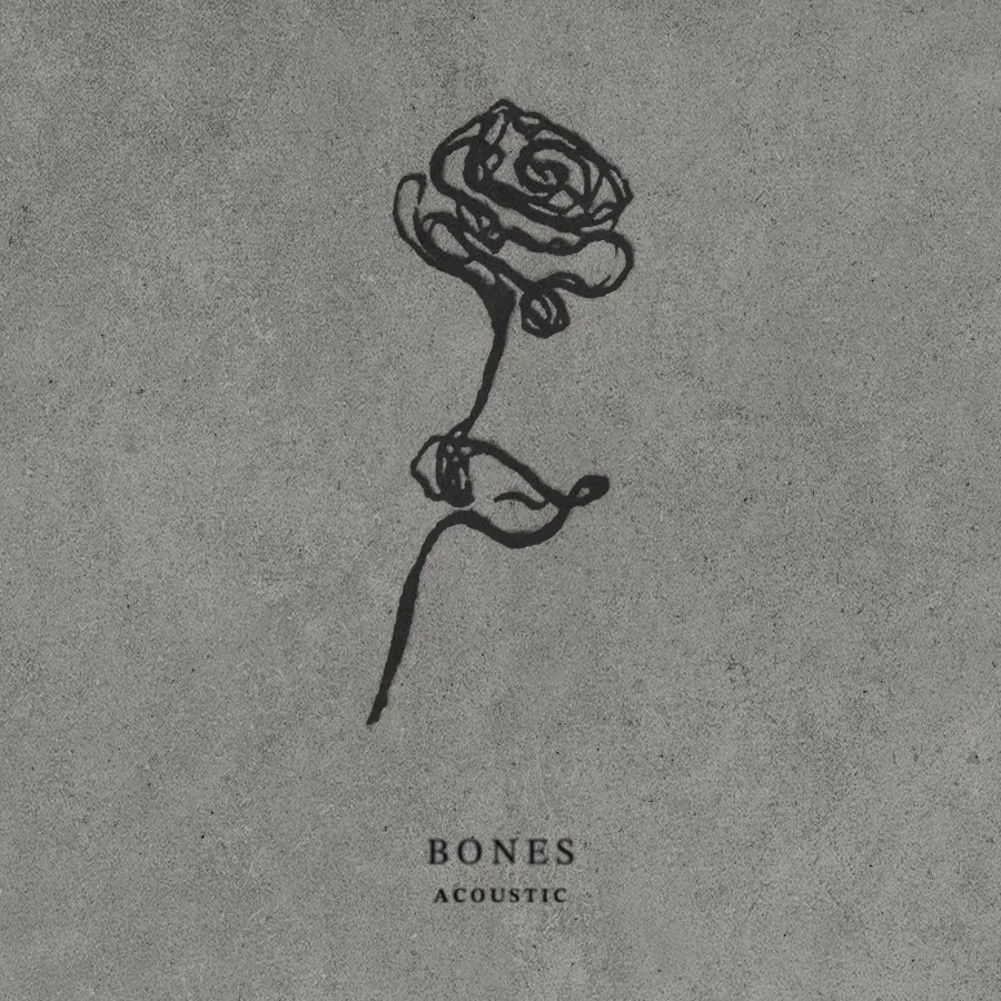 BONES Acoustic by Ross Harris - cover art, a rose drawn by Liam Payne