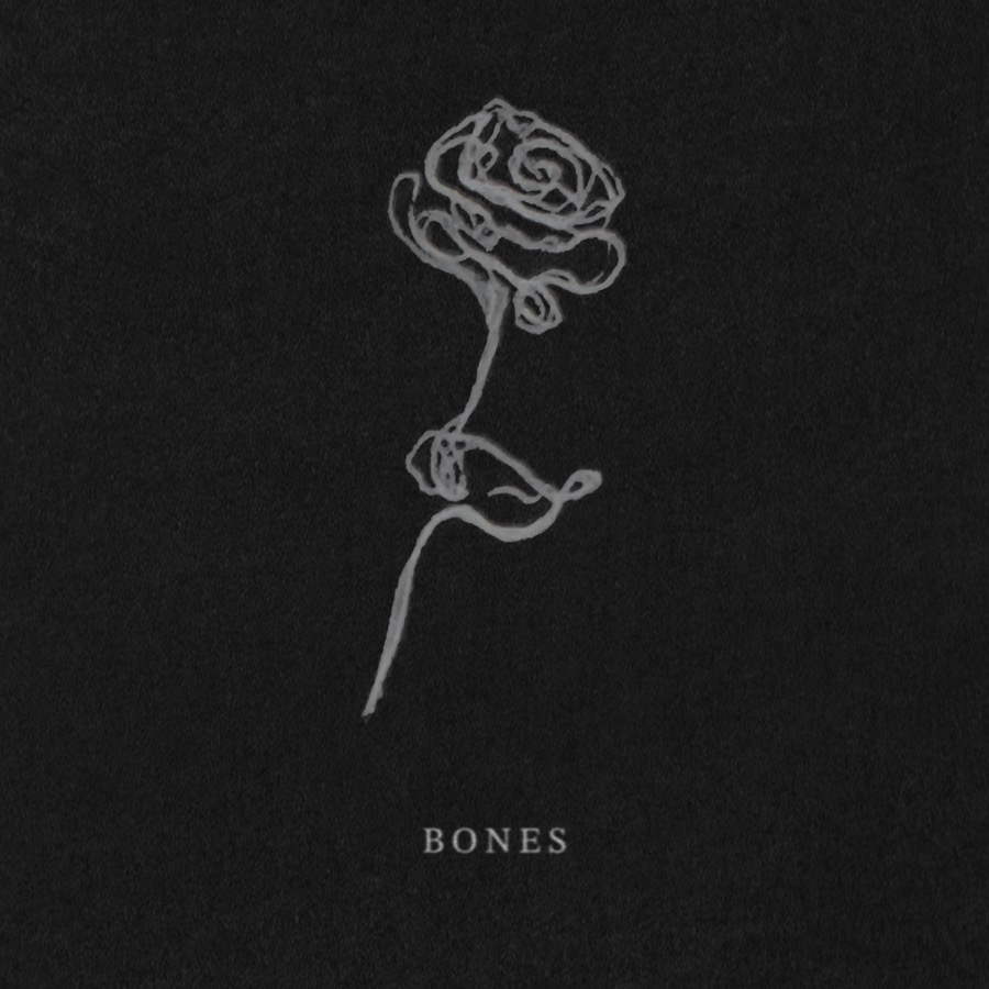 BONES by Ross Harris - cover art, a rose drawn by Liam Payne